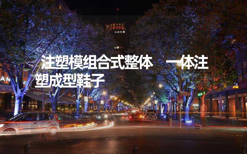 注塑模组合式整体 一体注塑成型鞋子
